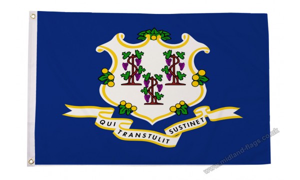 Connecticut Flag